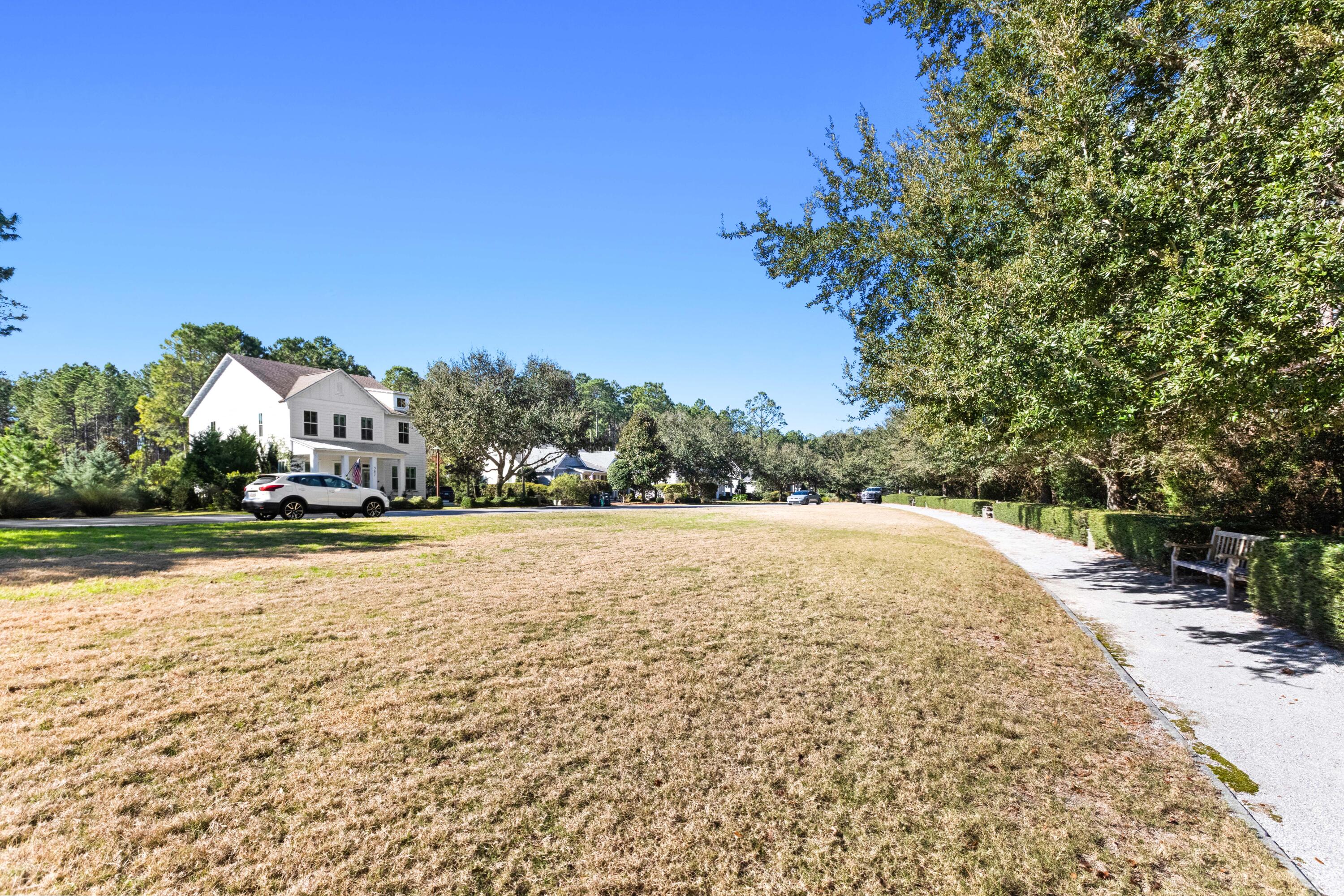 309 Jack Knife Drive Inlet Beach, FL 32461 - Photo 37 of 43 a view of large space with tree s