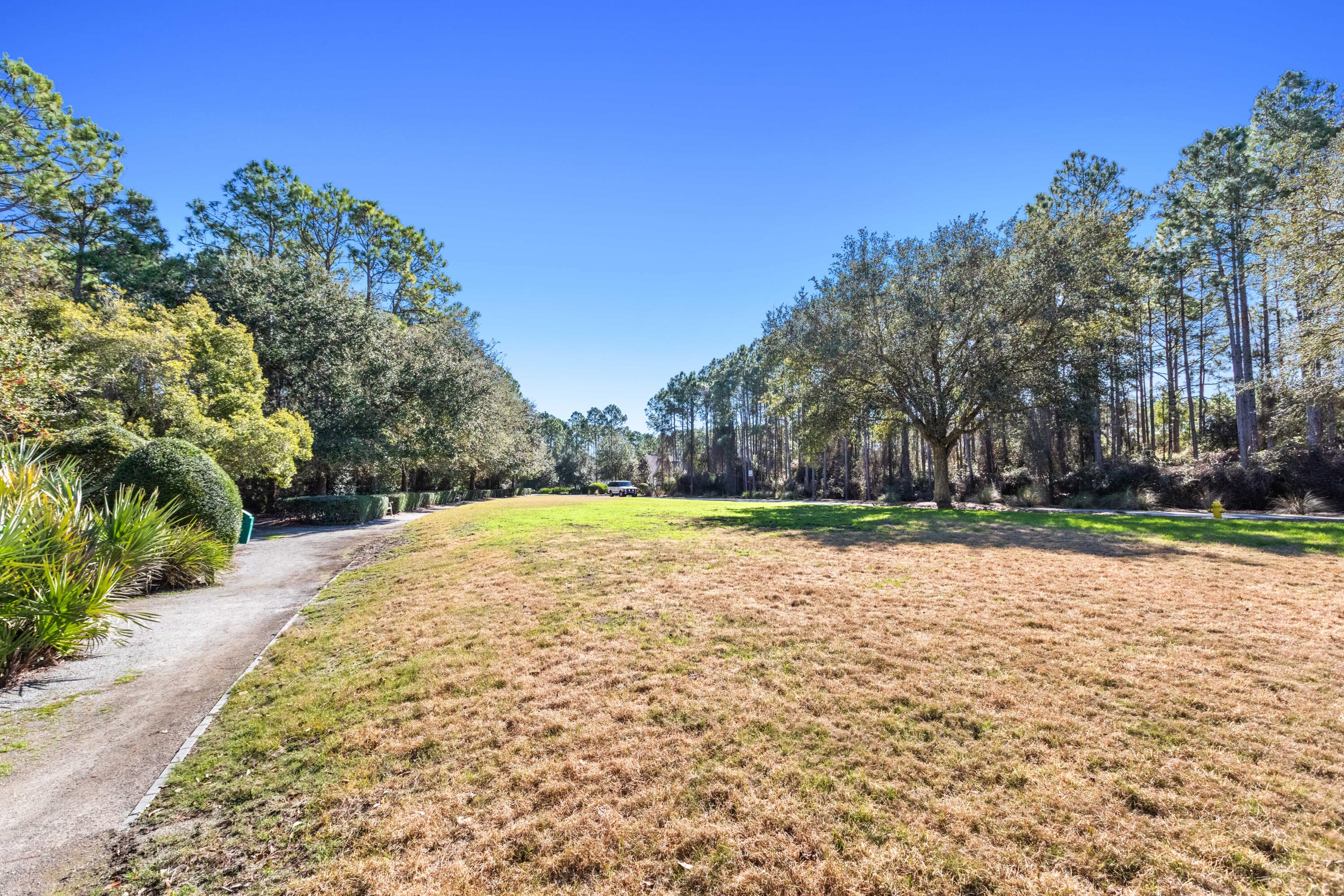 309 Jack Knife Drive Inlet Beach, FL 32461 - Photo 38 of 43 a view of pool with trees