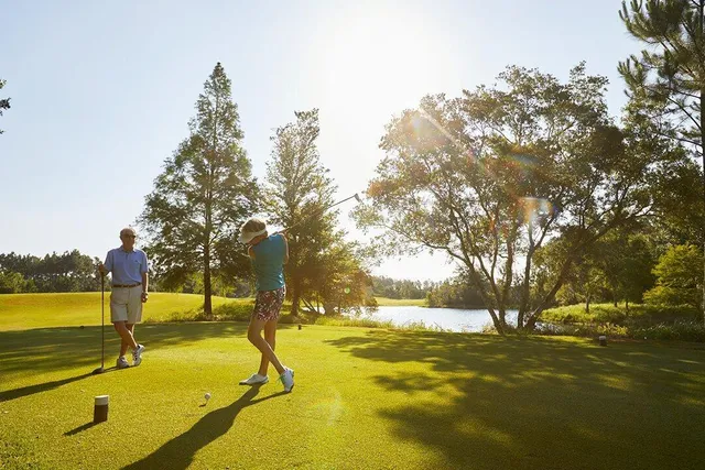 $1,200,000 | 309 Jack Knife Drive, Inlet Beach, FL 32461