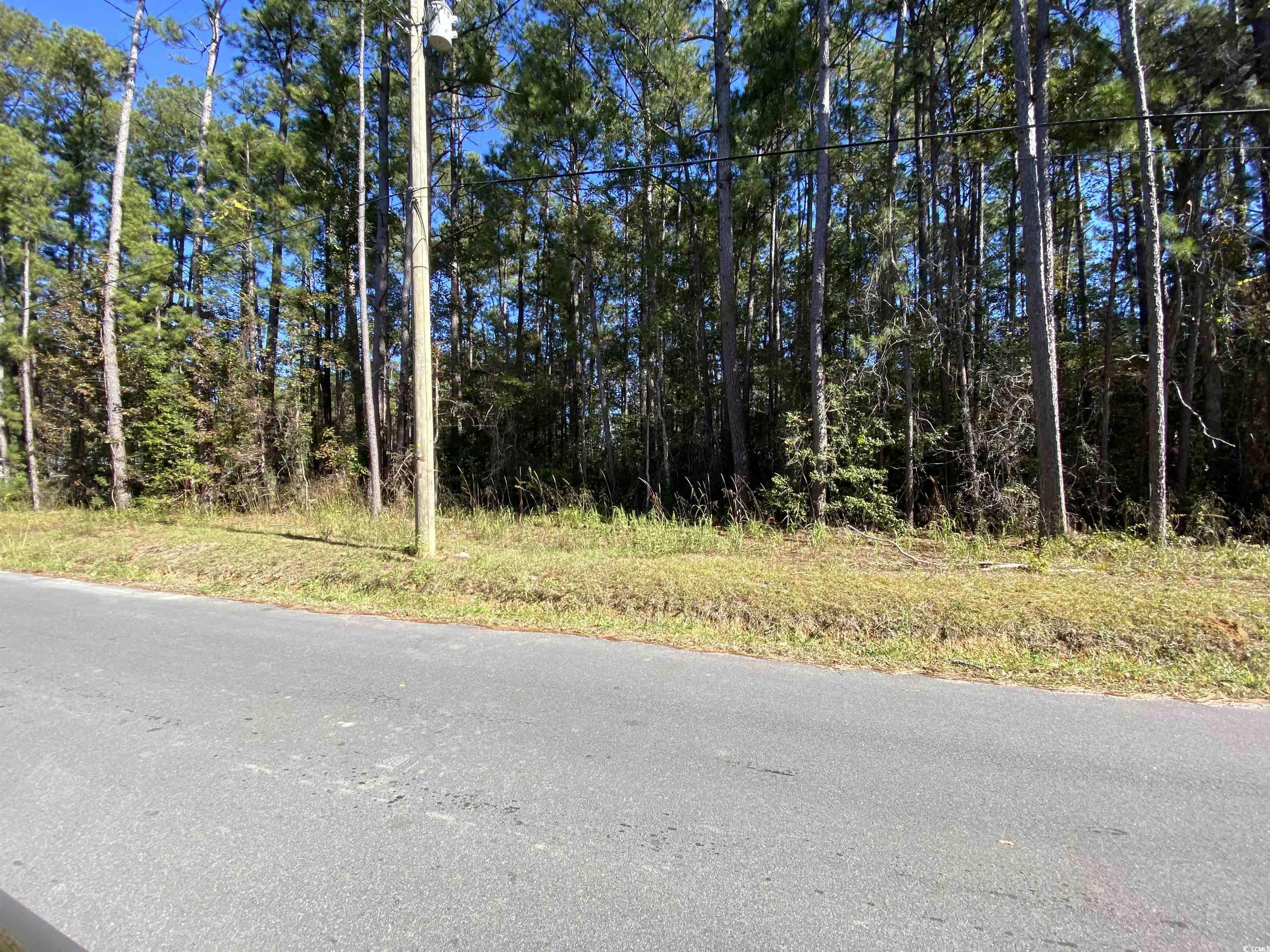 2101 Chavis Road Conway, SC 29526 - Photo 1 of 9 Gallery Image 1
