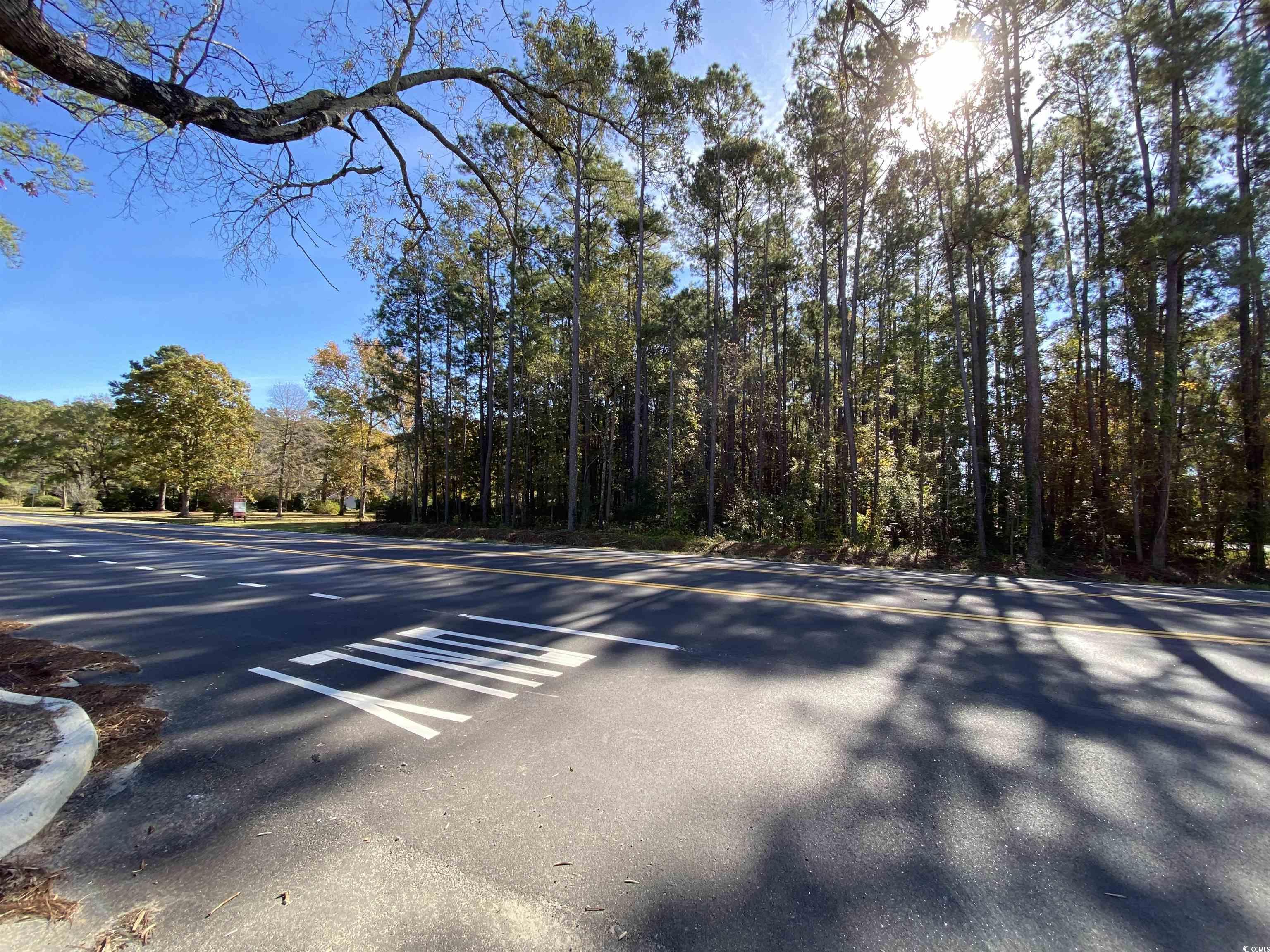 2101 Chavis Road Conway, SC 29526 - Photo 5 of 9 Gallery Image 5
