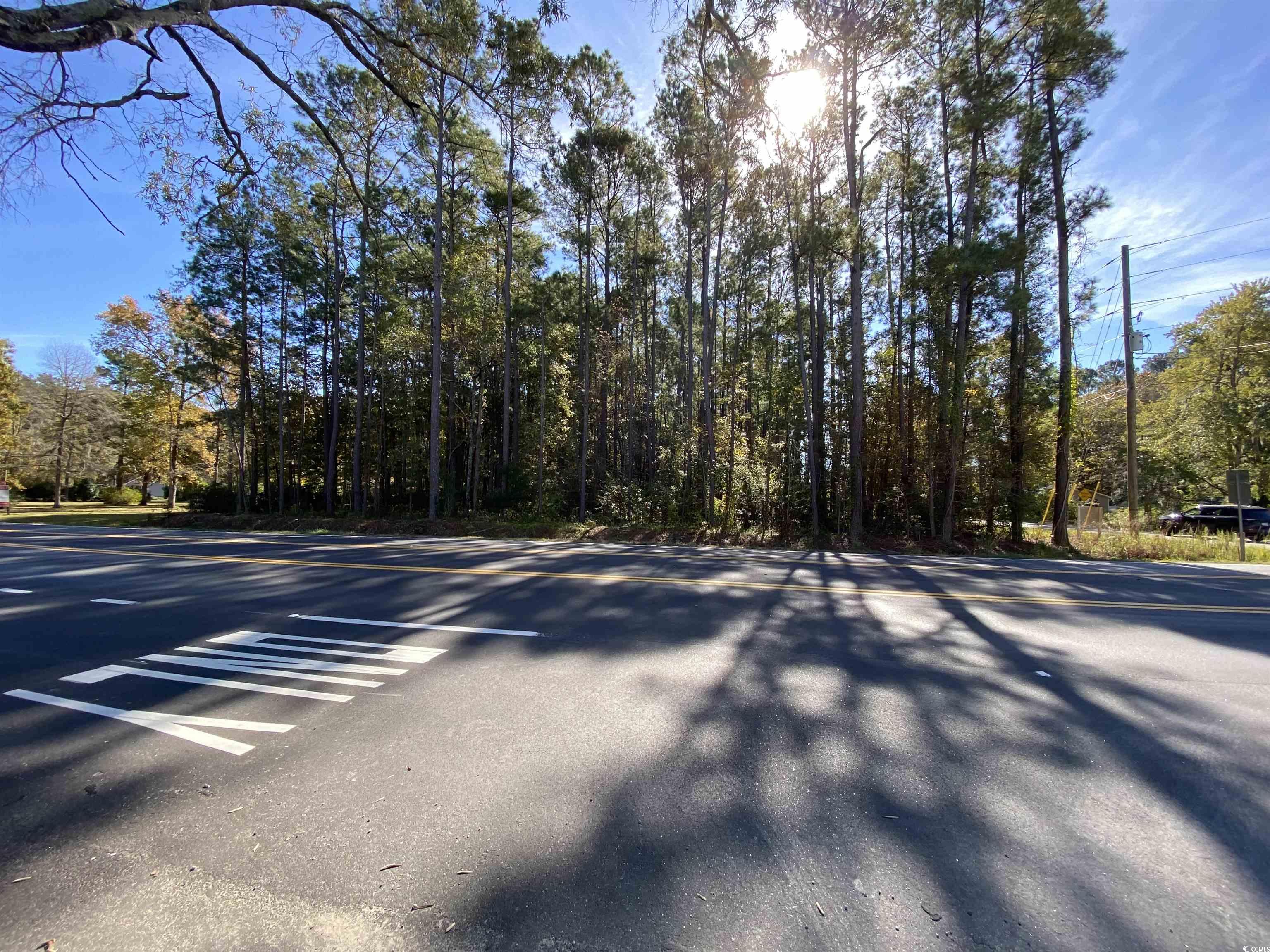 2101 Chavis Road Conway, SC 29526 - Photo 6 of 9 Gallery Image 6