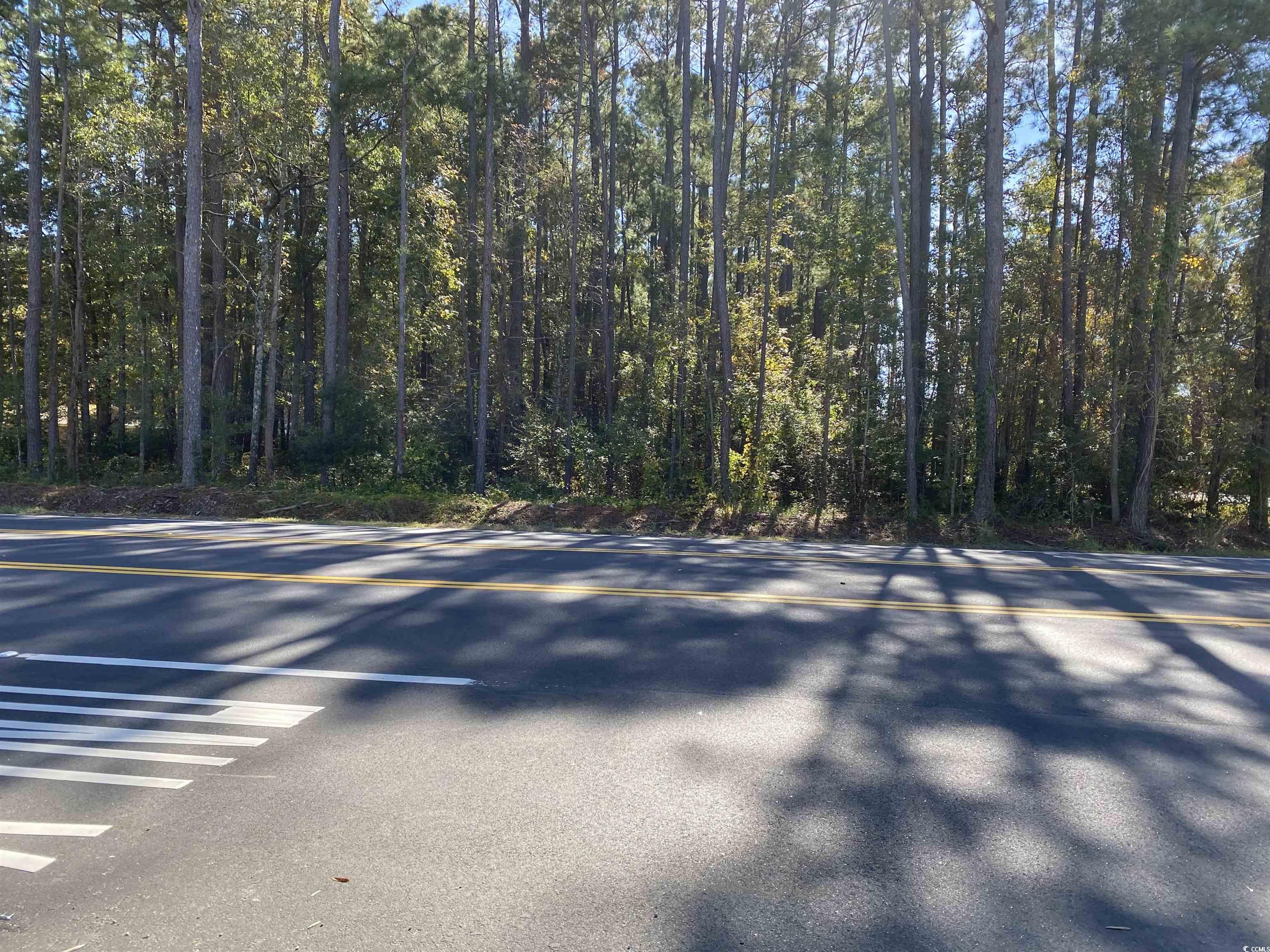 2101 Chavis Road Conway, SC 29526 - Photo 7 of 9 Gallery Image 7