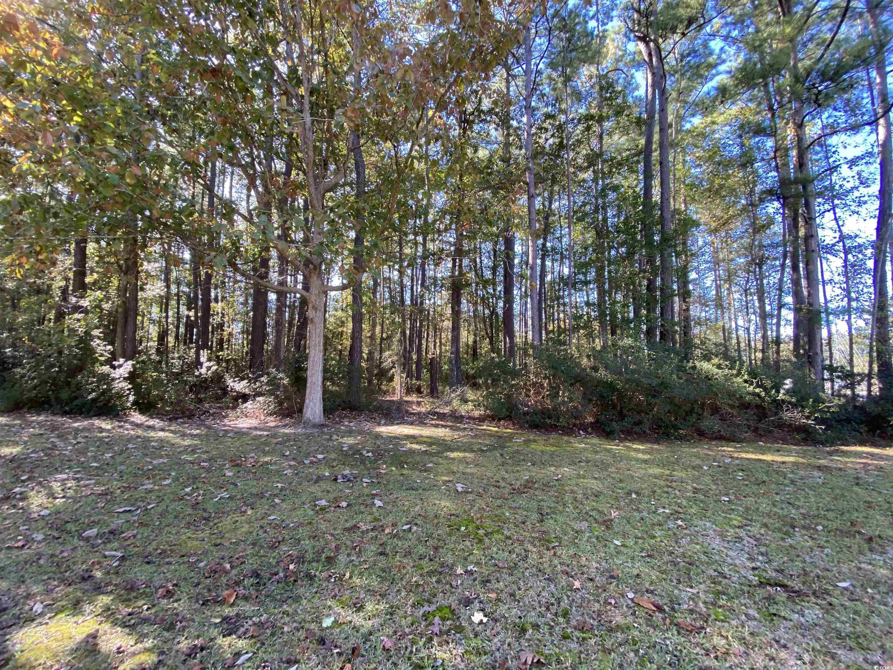 2101 Chavis Road Conway, SC 29526 - Photo 9 of 9 Gallery Image 9