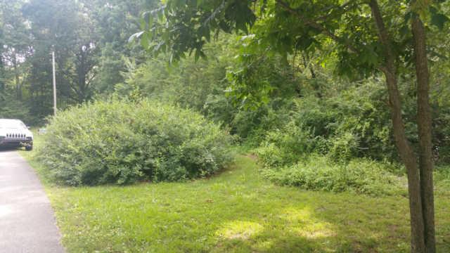 1 Woodvine Road Waverly, TN 37185 - Photo 4 of 5