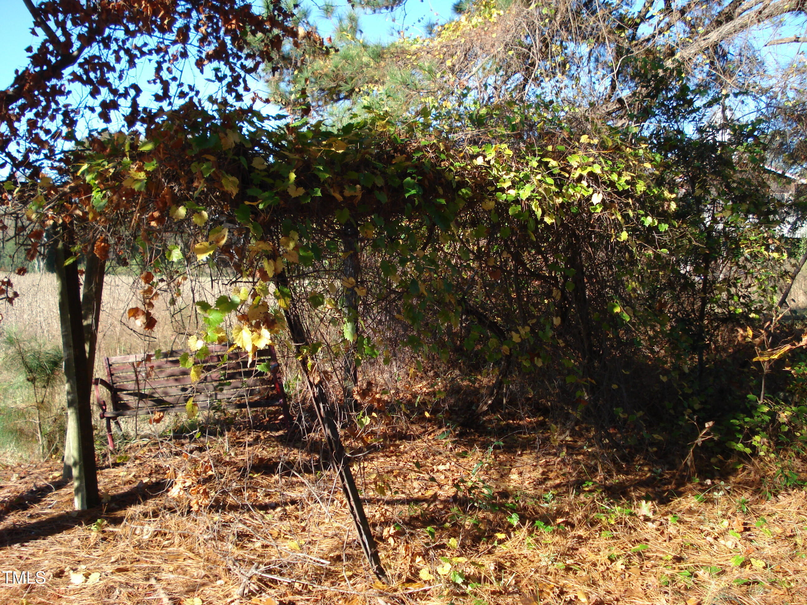 6349 Elevation Road Benson, NC 27504 - Photo 11 of 66 DSC07542