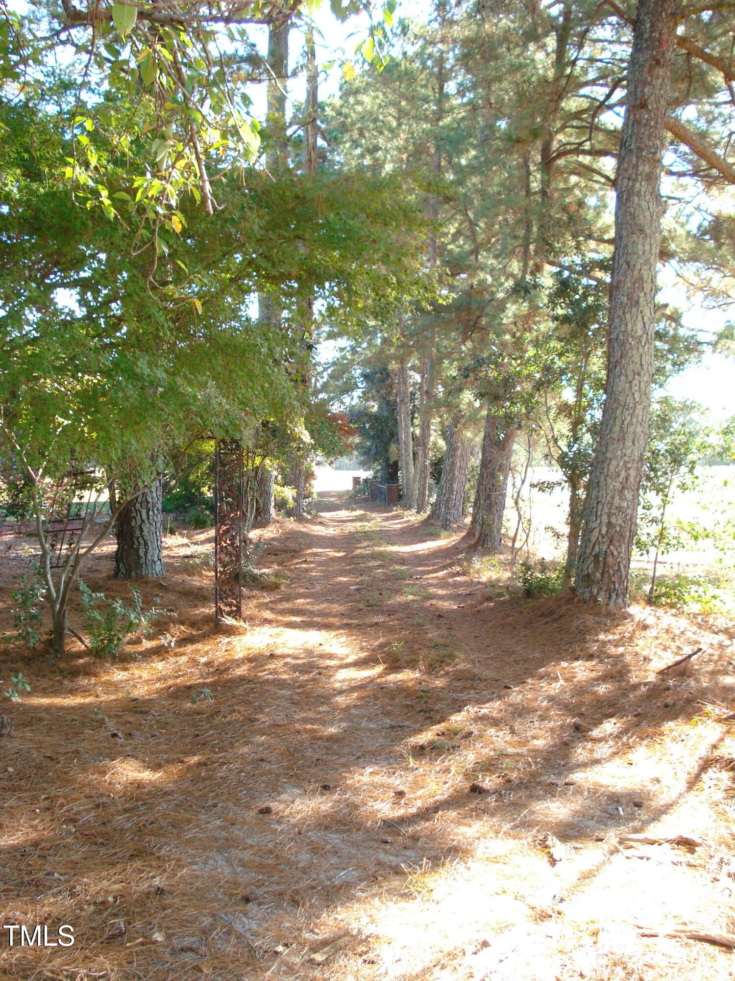 6349 Elevation Road Benson, NC 27504 - Photo 40 of 66 a view of road with trees