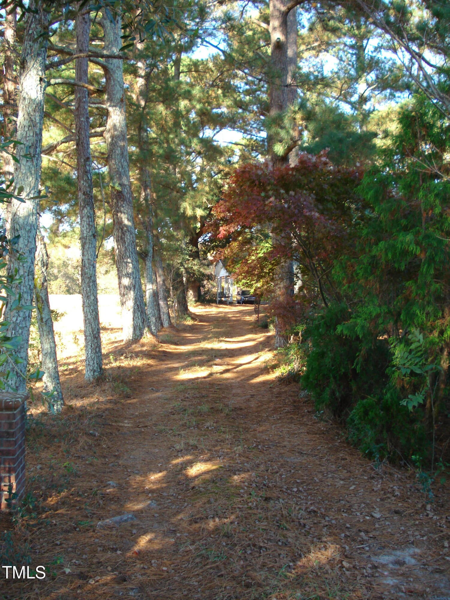 6349 Elevation Road Benson, NC 27504 - Photo 6 of 66 a view of road with trees