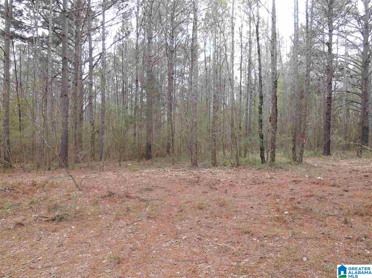 Oak Tree Drive, Unit 3A Chelsea, AL 35043 - Photo 3 of 4