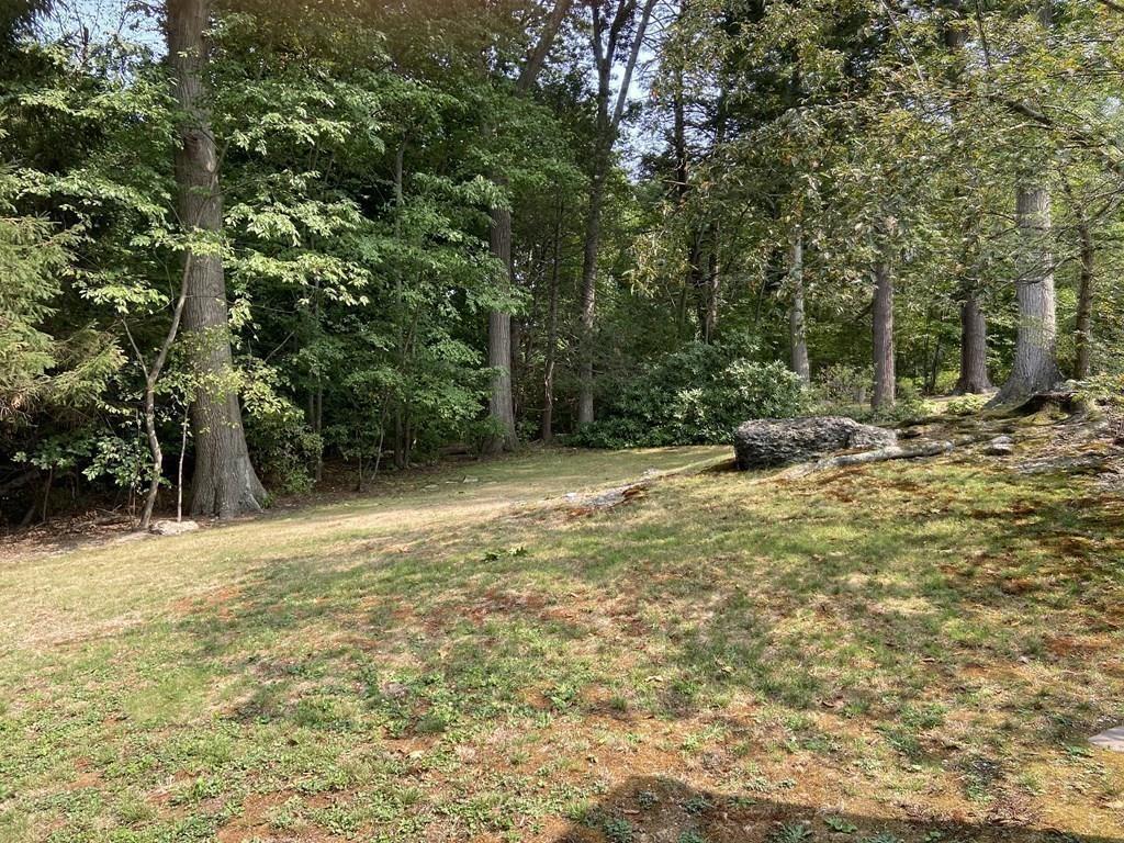 46 Clearwater Road Brookline, MA 02467 - Photo 29 of 31