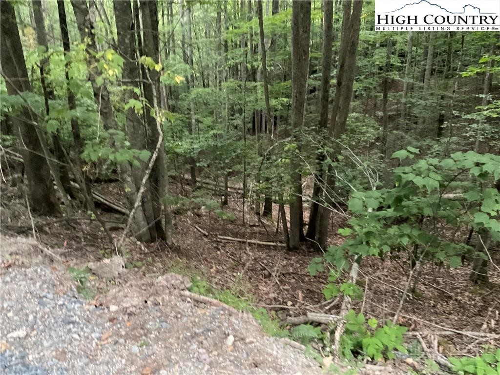 145 Raccoon Road Beech Mountain, NC 28604 - Photo 3 of 5