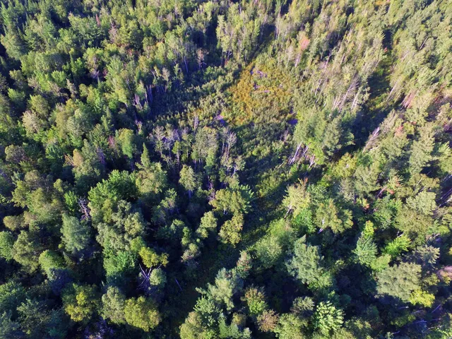 $39,900 | Map2-lot7 Map2-lot7 Aroostook Road, Winterville Plt, ME 04739