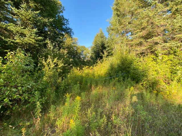 $39,900 | Map2-lot7 Map2-lot7 Aroostook Road, Winterville Plt, ME 04739