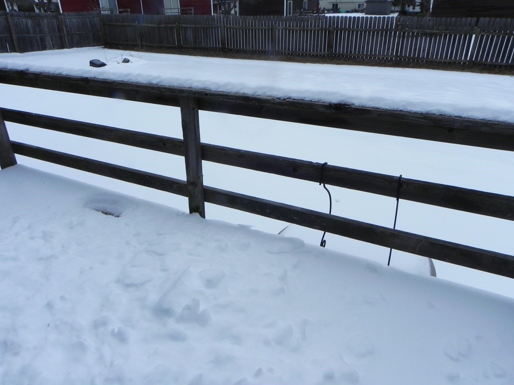 48-50 Ferris Street Springfield, MA 01151 - Photo 3 of 5