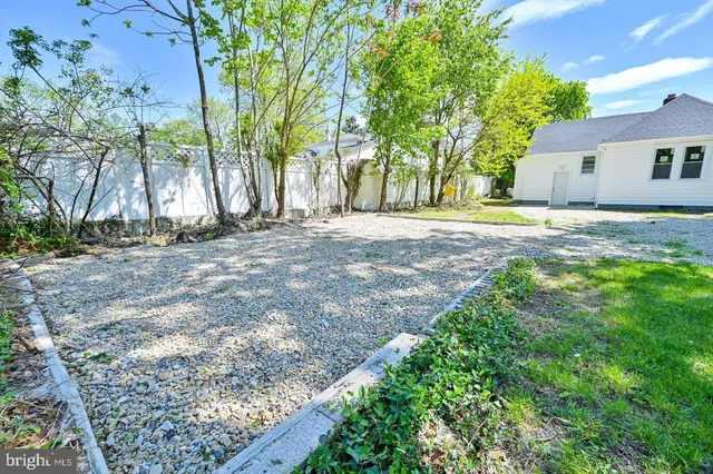 a view of a yard with plants and trees