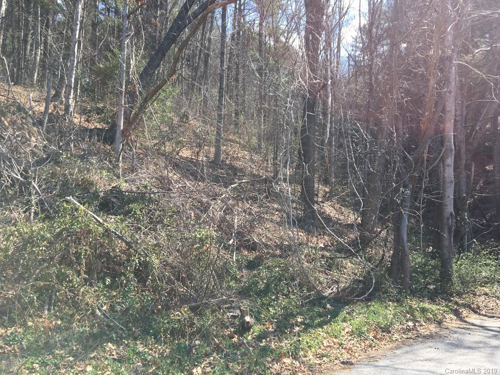 0 Mountainbrook Road Asheville, NC 28805 - Photo 2 of 3