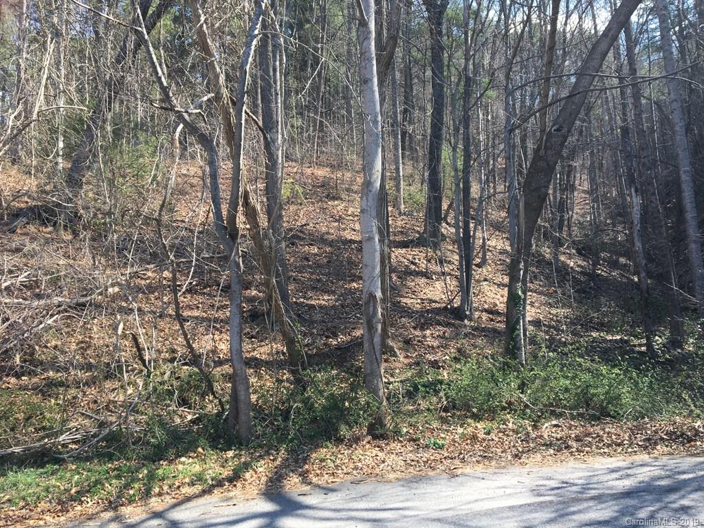 0 Mountainbrook Road Asheville, NC 28805 - Photo 3 of 3