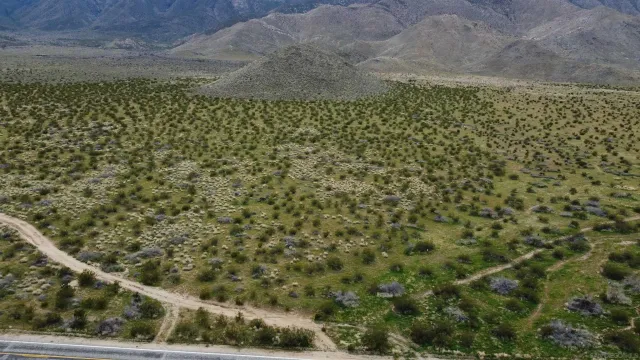a view of a dry yard