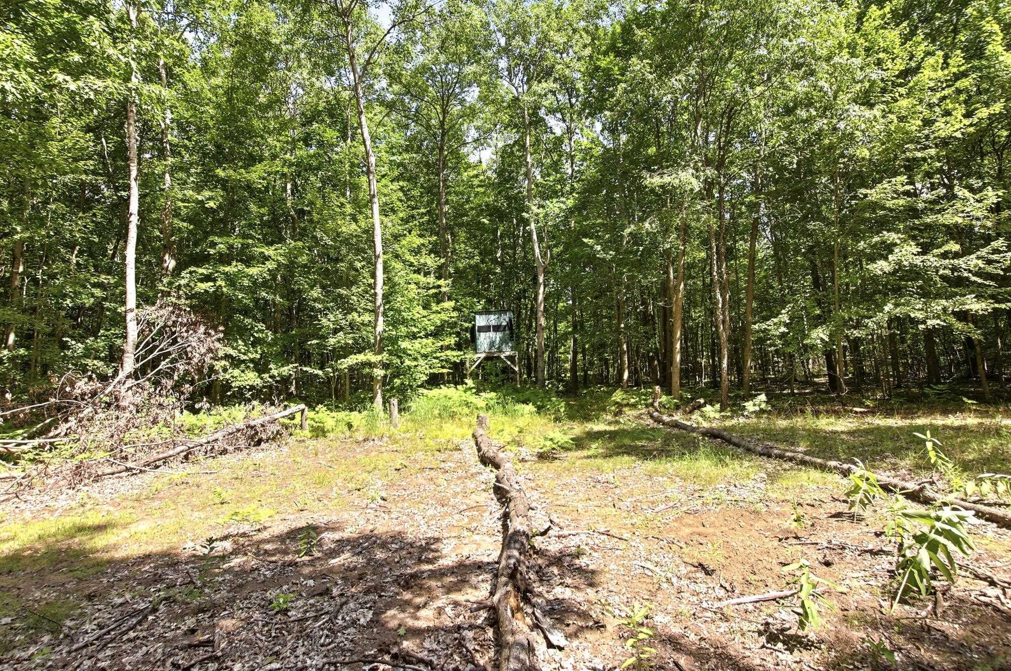 4960 Washburn Road Vassar, MI 48768 - Photo 65 of 68