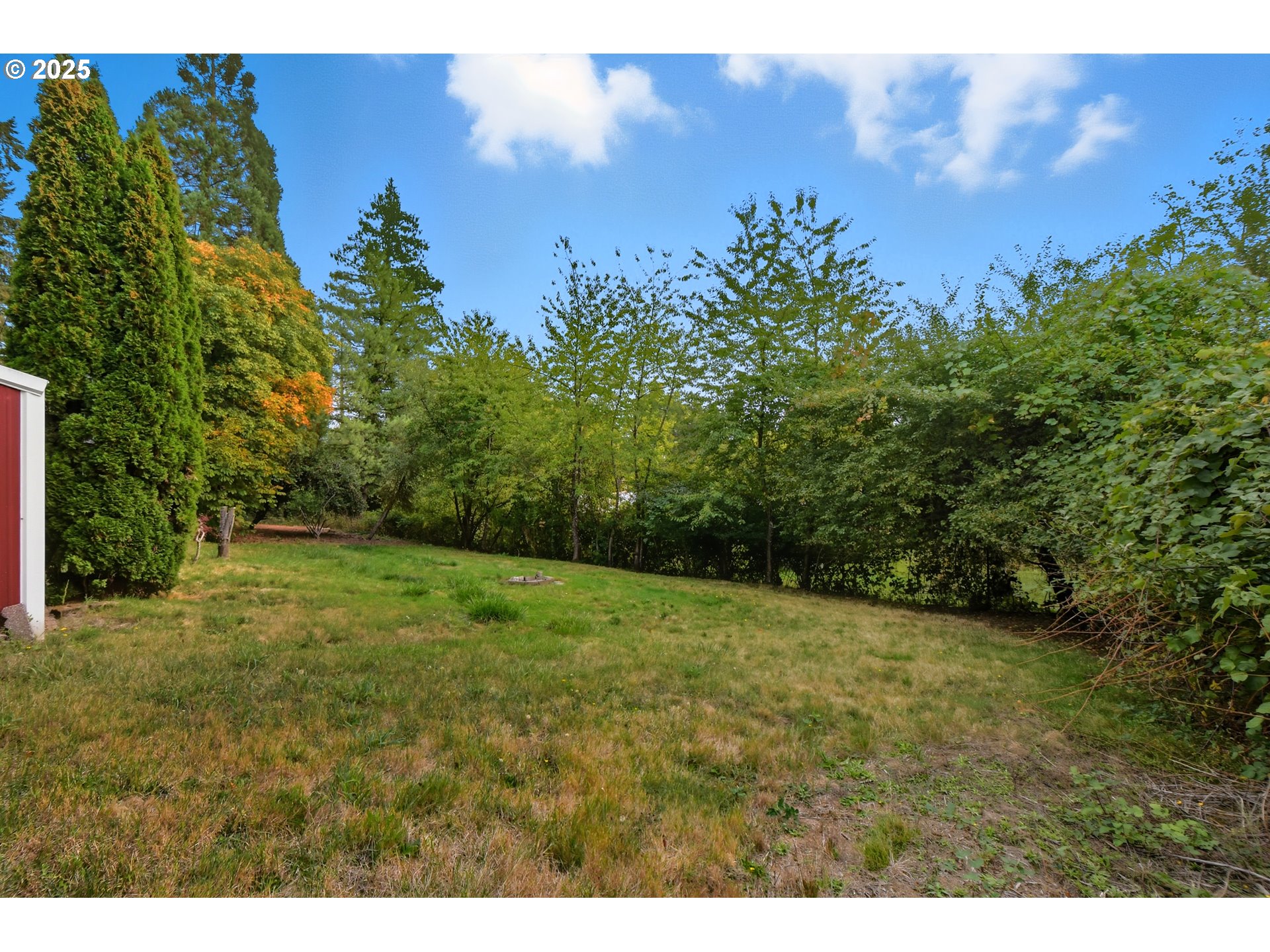 19818 Northwest 14th Avenue Ridgefield, WA 98642 - Photo 18 of 24 Backyard