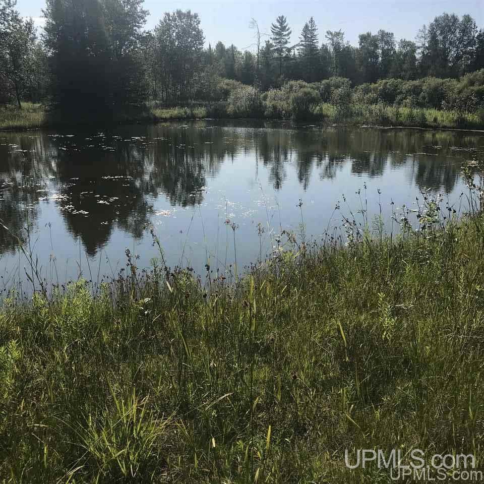 5772 34 Rd Lane Nadeau, MI 49863 - Photo 16 of 18 Gallery Image 16