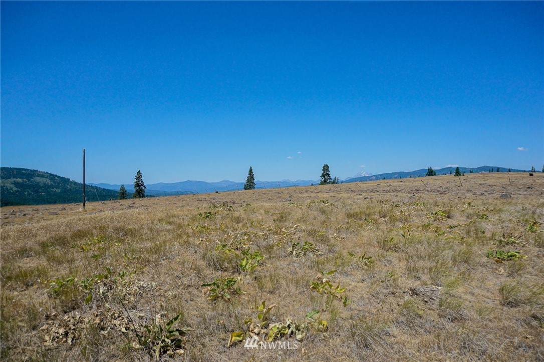 2120 Raptor Ridge Road Cle Elum, WA 98922 - Photo 3 of 14 Gallery Image 3