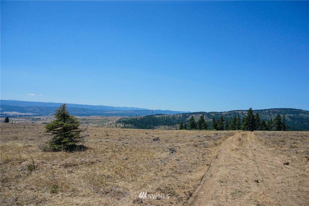 2120 Raptor Ridge Road Cle Elum, WA 98922 - Photo 4 of 14 Gallery Image 4