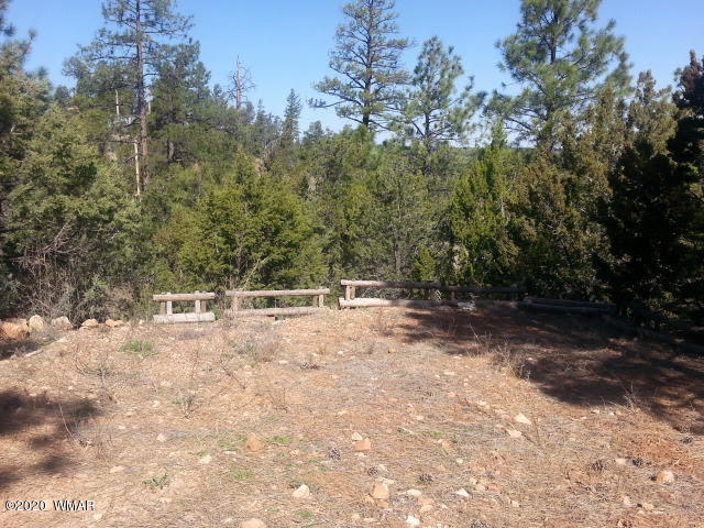 3623 Chevera Circle Overgaard, AZ 85933 - Photo 16 of 18