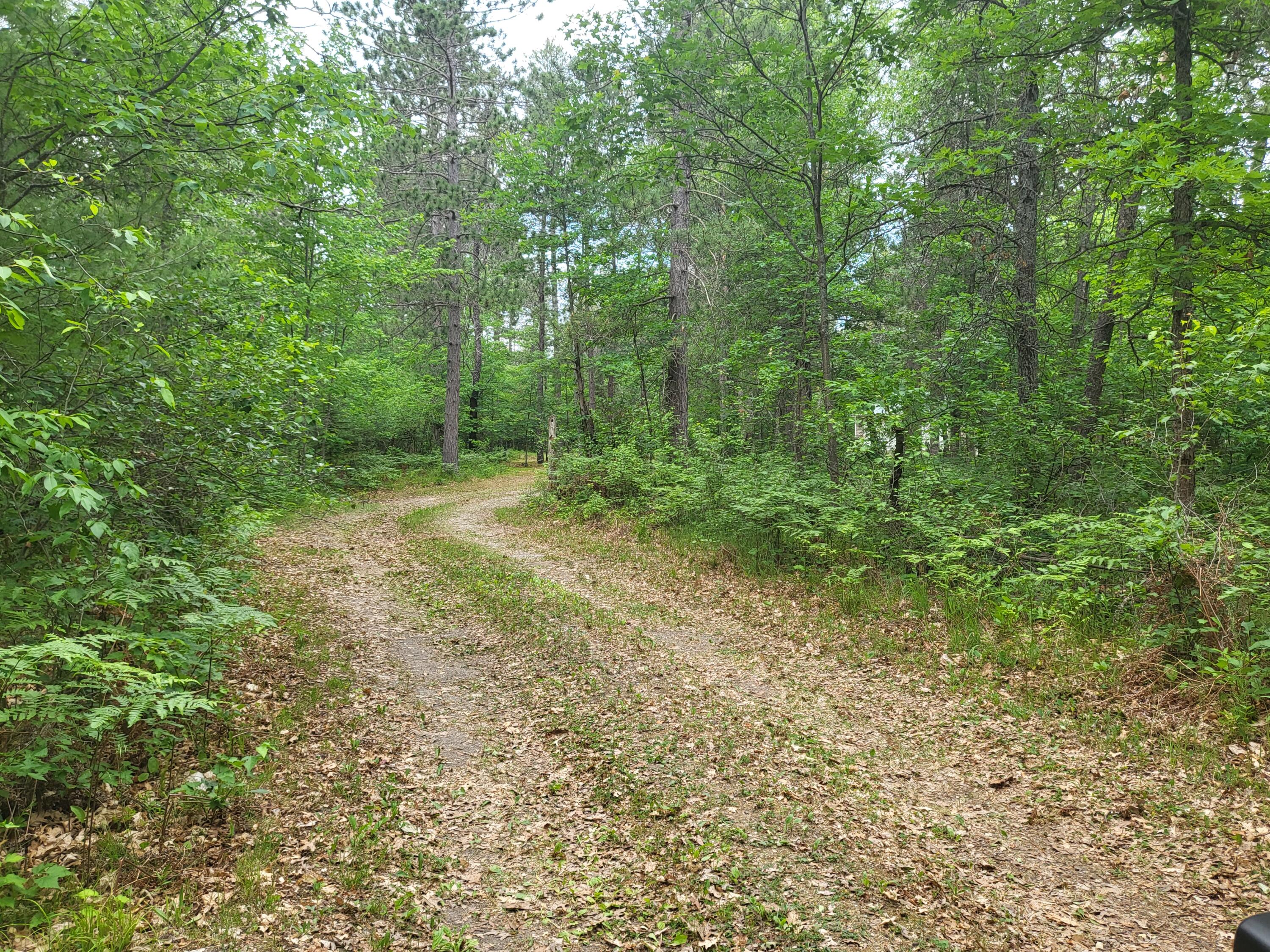 8652 Lovells Road Grayling, MI 49738 - Photo 66 of 68 Gallery Image 66