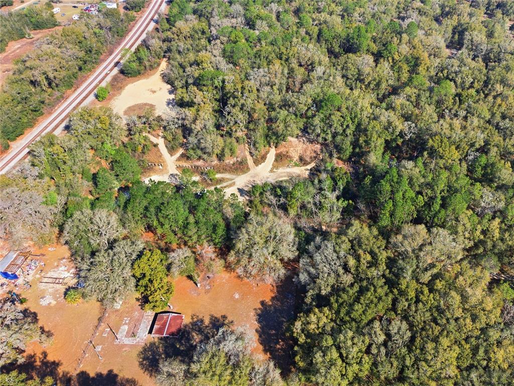 28 Northeast 164th Lane Citra, FL 32113 - Photo 14 of 29 a view of a tree