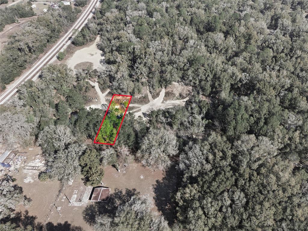 28 Northeast 164th Lane Citra, FL 32113 - Photo 15 of 29 a view of a yard in a backyard