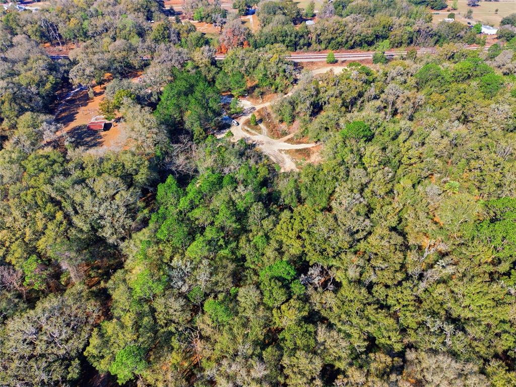 28 Northeast 164th Lane Citra, FL 32113 - Photo 16 of 29
