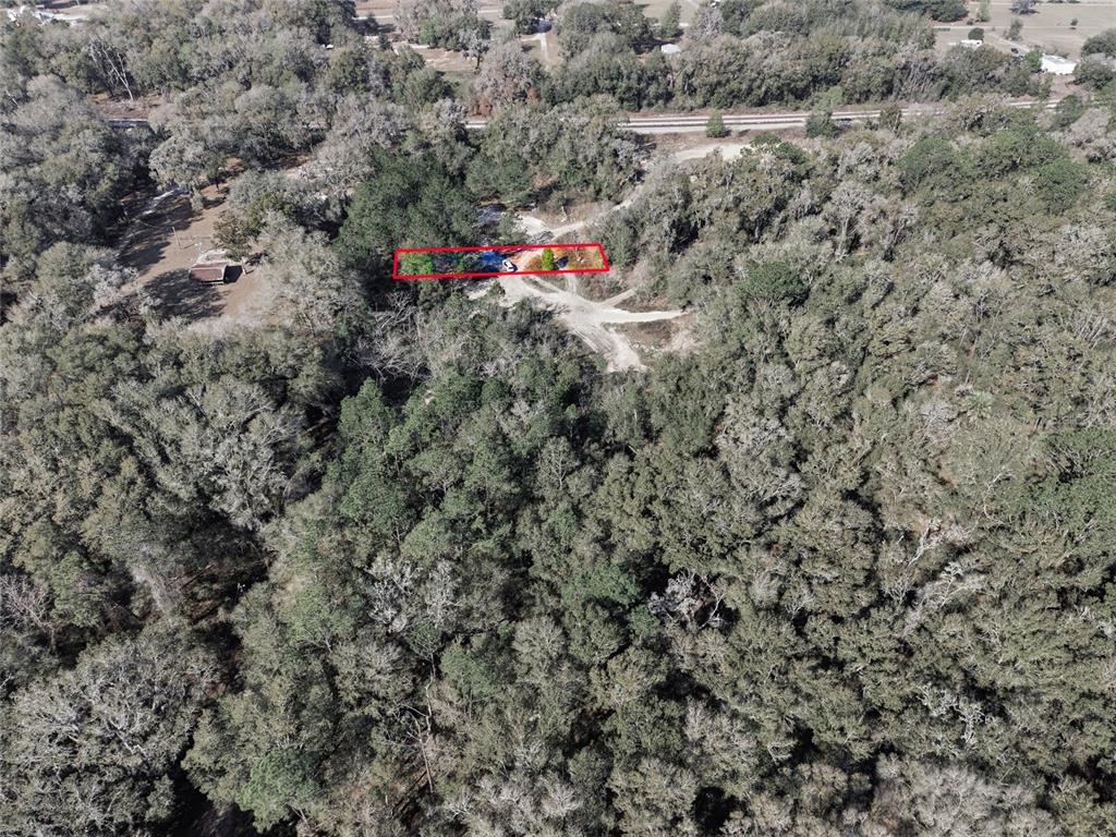 28 Northeast 164th Lane Citra, FL 32113 - Photo 17 of 29 a view of a dry yard with lots of bushes