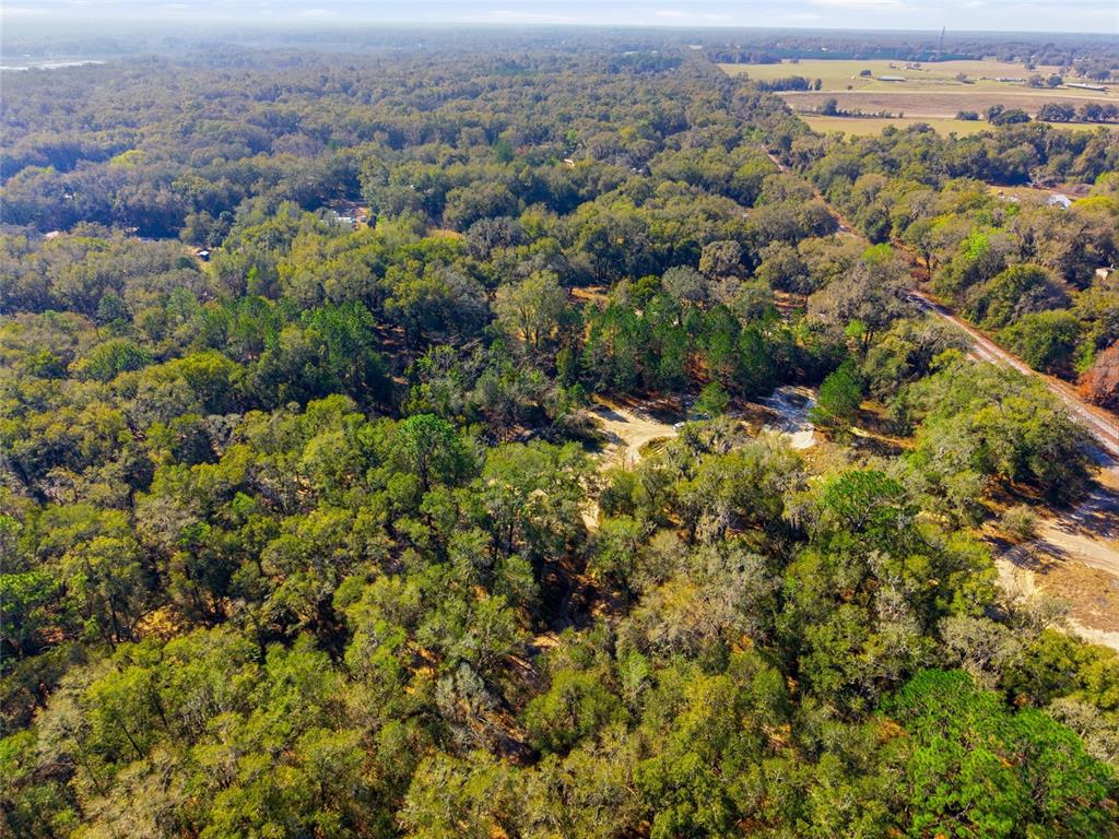 28 Northeast 164th Lane Citra, FL 32113 - Photo 18 of 29 an aerial view of residential house with green space and fog