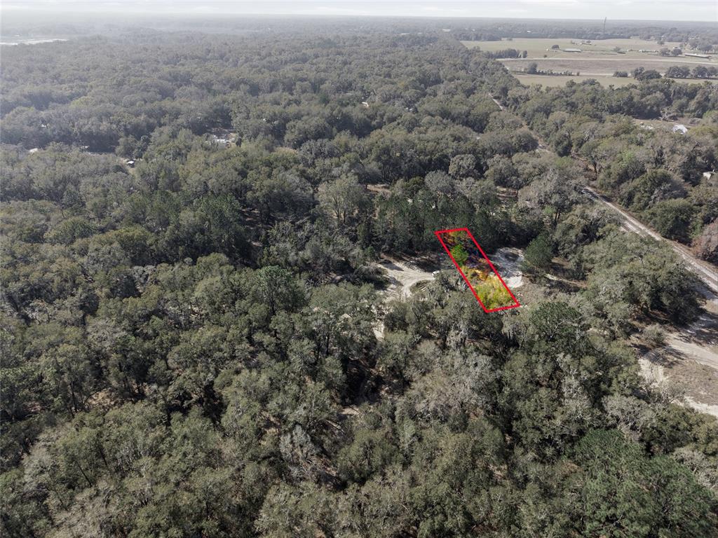 28 Northeast 164th Lane Citra, FL 32113 - Photo 19 of 29 an aerial view of houses with yard and mountain view