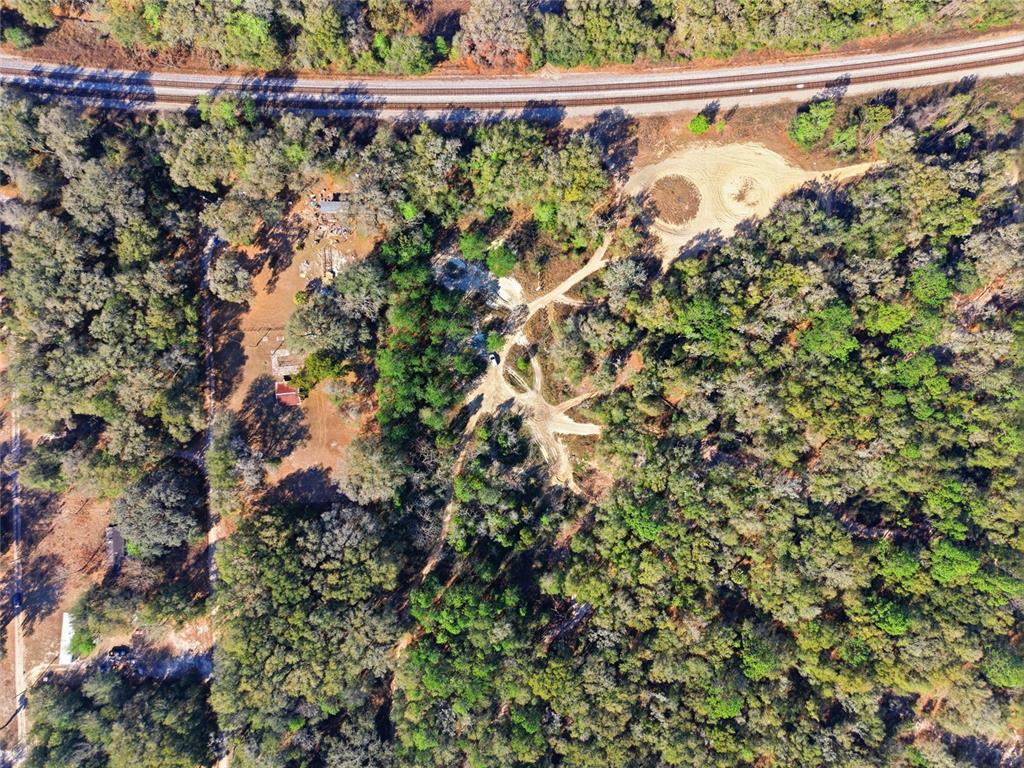 28 Northeast 164th Lane Citra, FL 32113 - Photo 2 of 29 a view of a garden with a tree