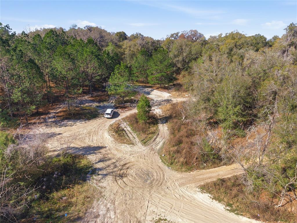 28 Northeast 164th Lane Citra, FL 32113 - Photo 24 of 29 a view of a yard