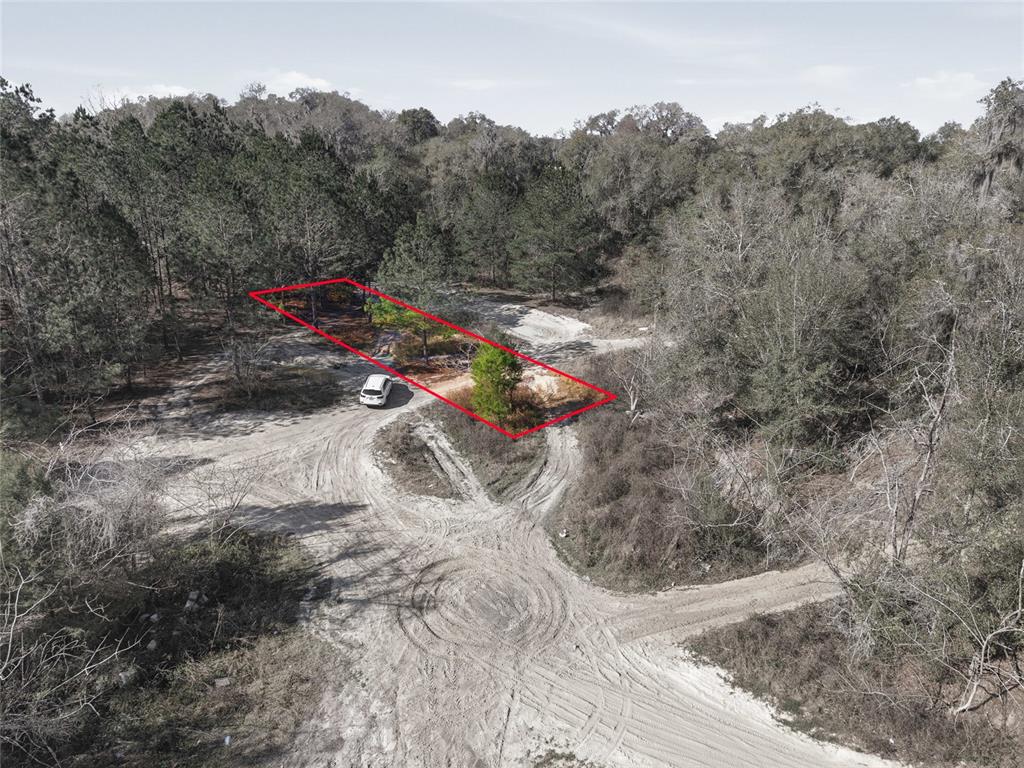 28 Northeast 164th Lane Citra, FL 32113 - Photo 25 of 29 a view of outdoor space and yard