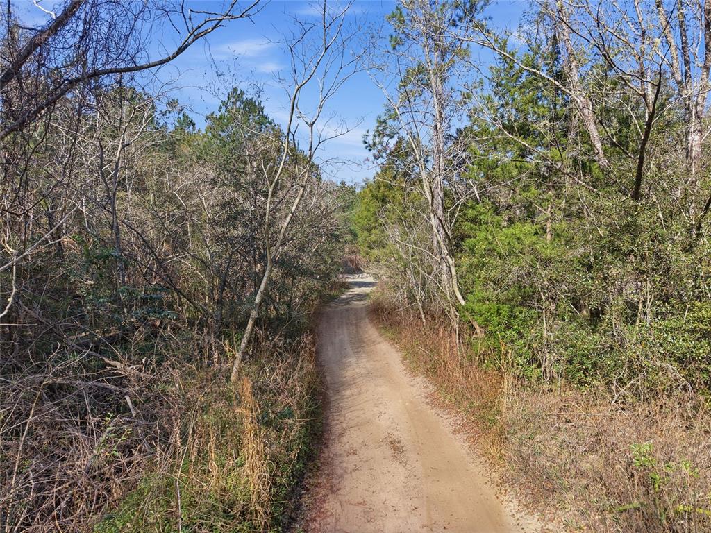 28 Northeast 164th Lane Citra, FL 32113 - Photo 27 of 29 a view of a yard with a tree