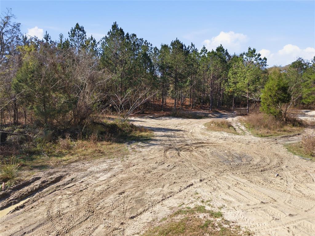 28 Northeast 164th Lane Citra, FL 32113 - Photo 28 of 29 a view of water covered with snow in the background