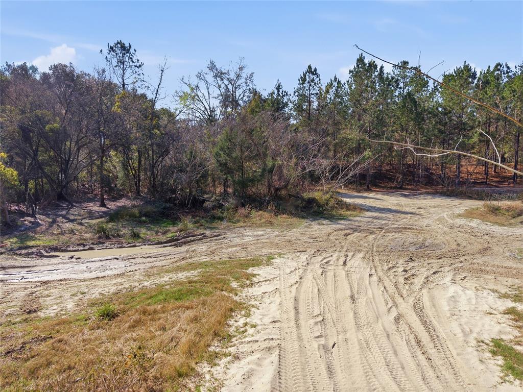 28 Northeast 164th Lane Citra, FL 32113 - Photo 29 of 29 a view of a backyard of the house
