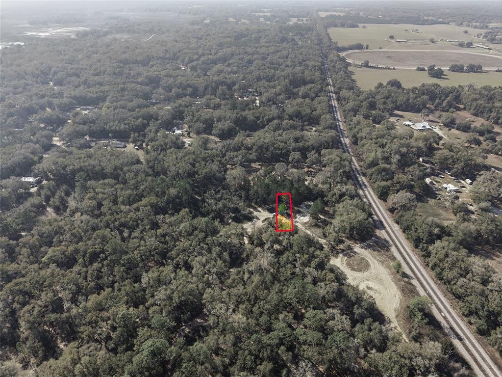 28 Northeast 164th Lane Citra, FL 32113 - Photo 7 of 29 a view of a forest with a street