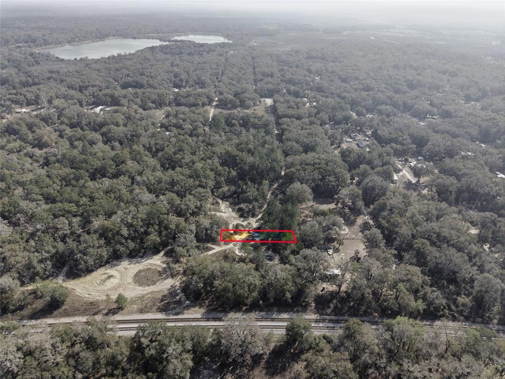 28 Northeast 164th Lane Citra, FL 32113 - Photo 9 of 29 a view of a dry yard with lots of trees