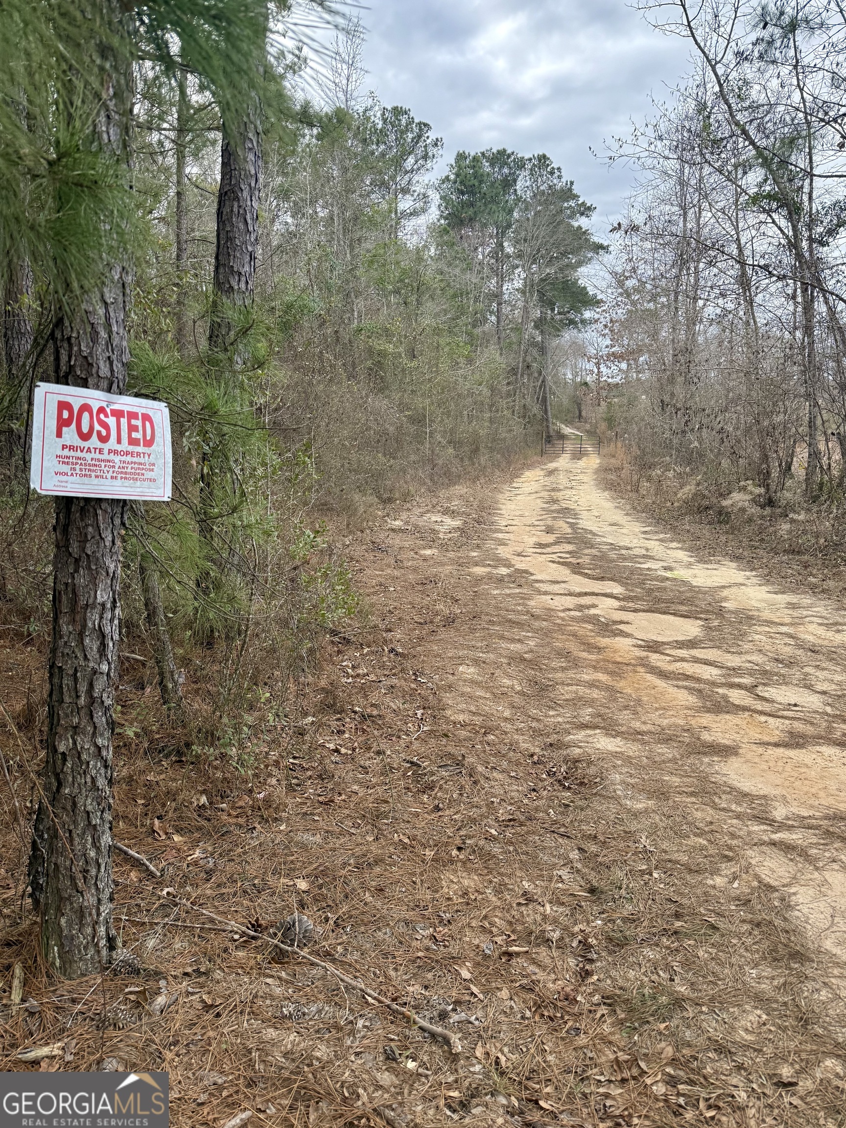 0 Davis Road Dexter, GA 31022 - Photo 1 of 17