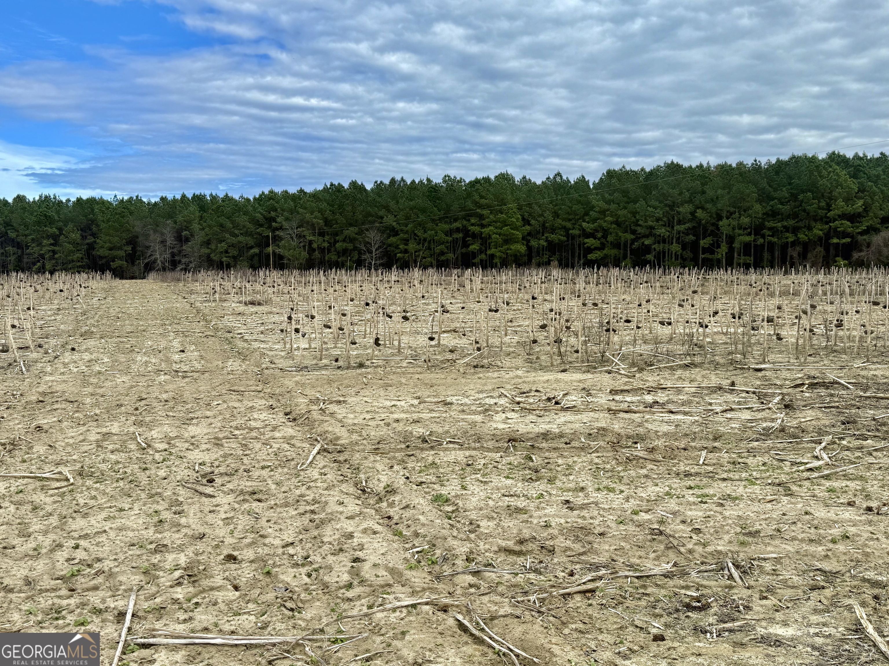 0 Davis Road Dexter, GA 31022 - Photo 11 of 17