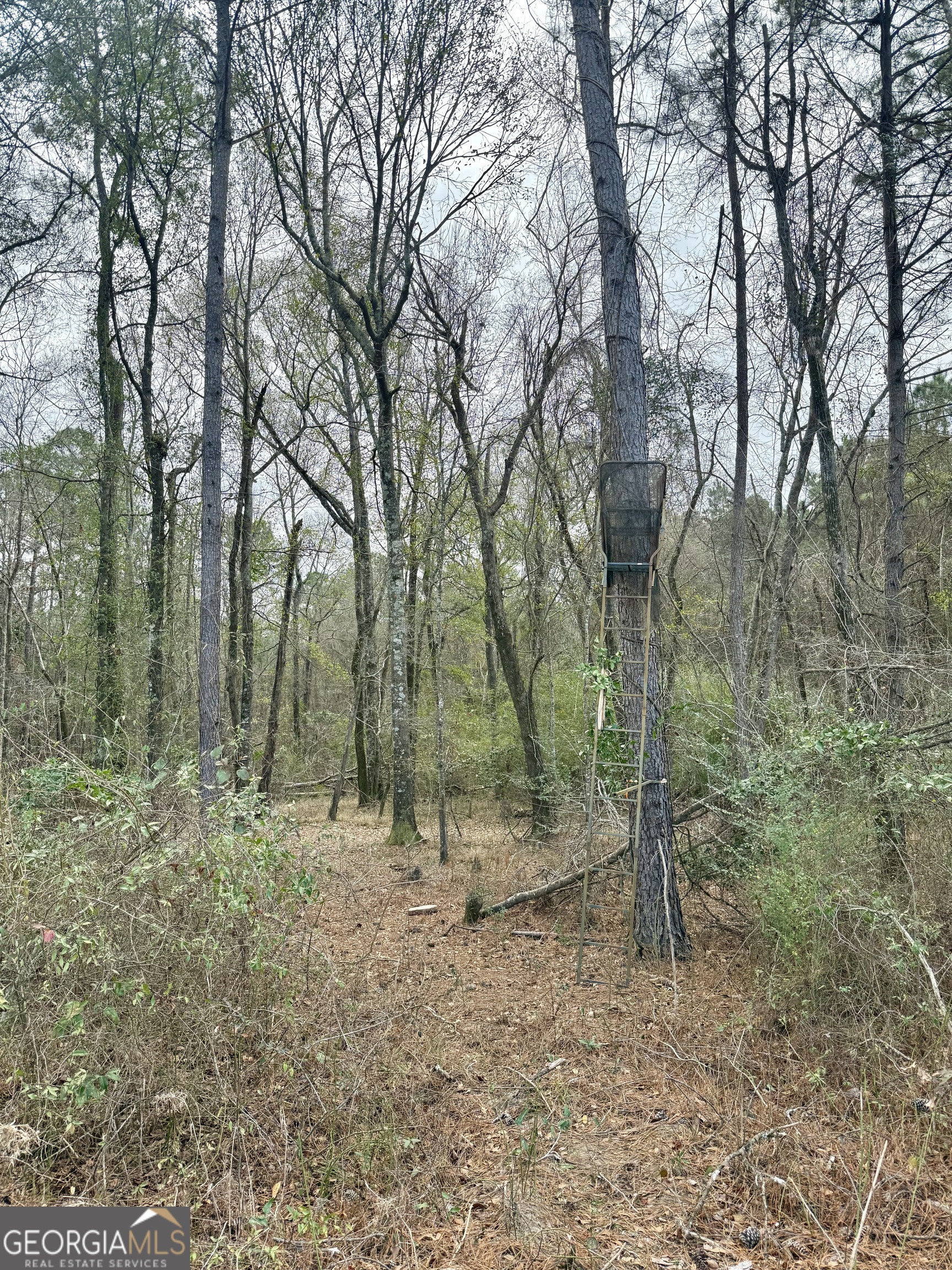 0 Davis Road Dexter, GA 31022 - Photo 12 of 17