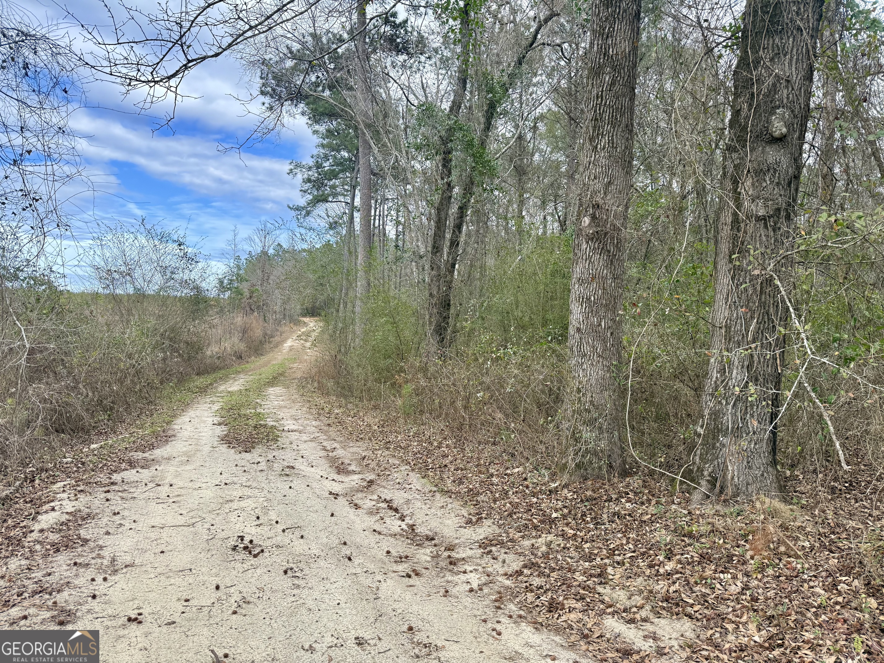 0 Davis Road Dexter, GA 31022 - Photo 15 of 17