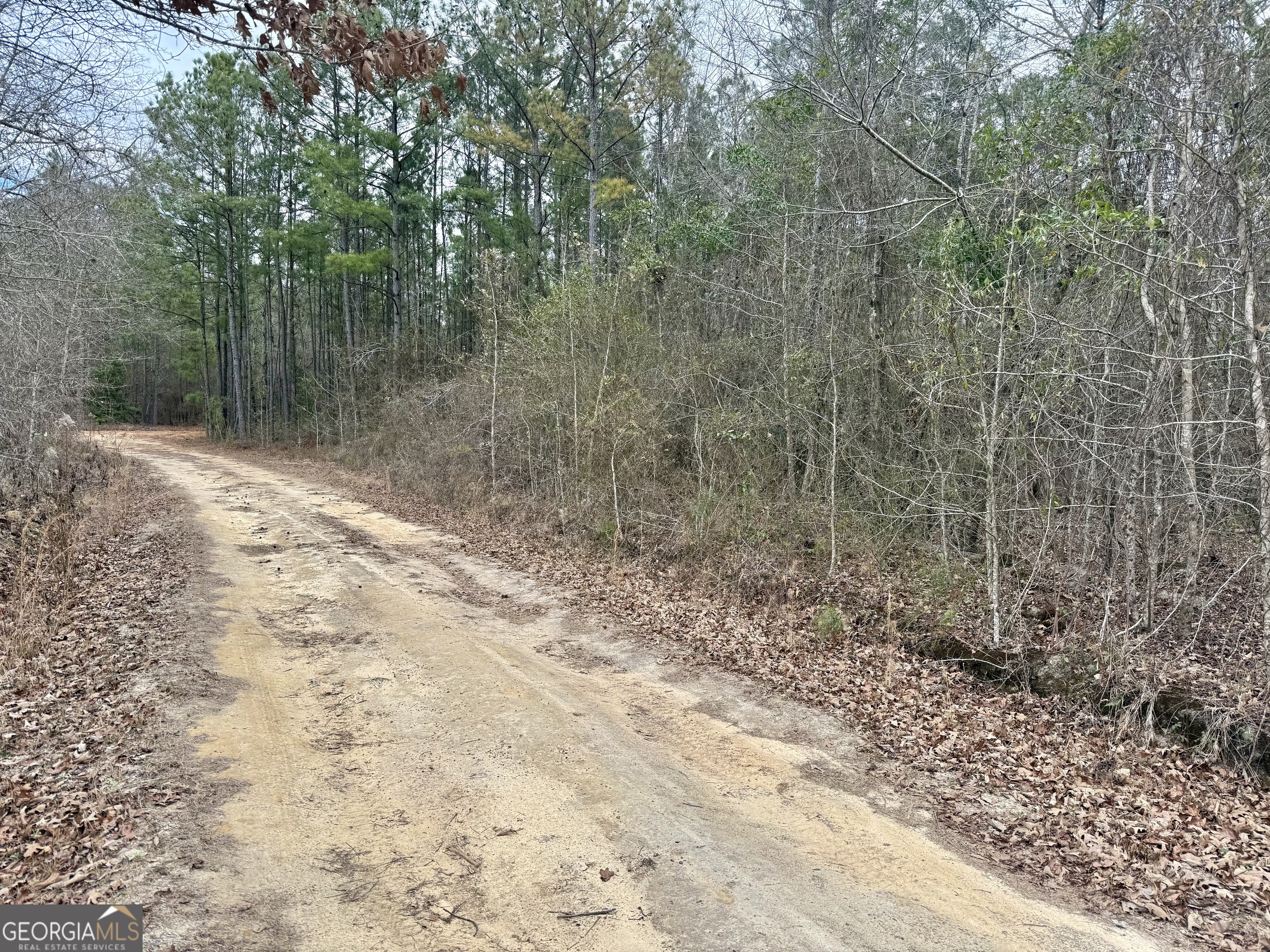 0 Davis Road Dexter, GA 31022 - Photo 16 of 17