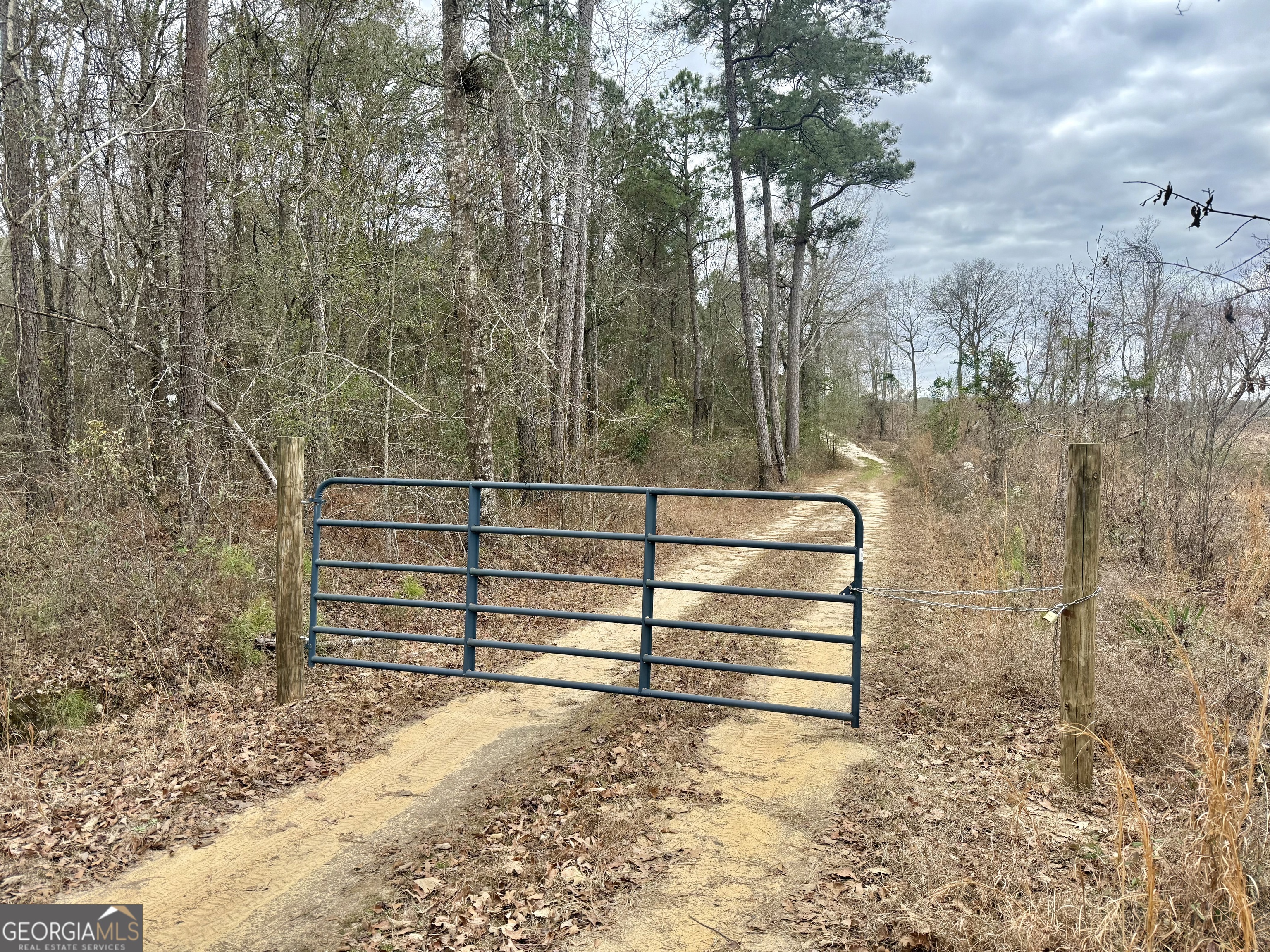 0 Davis Road Dexter, GA 31022 - Photo 17 of 17