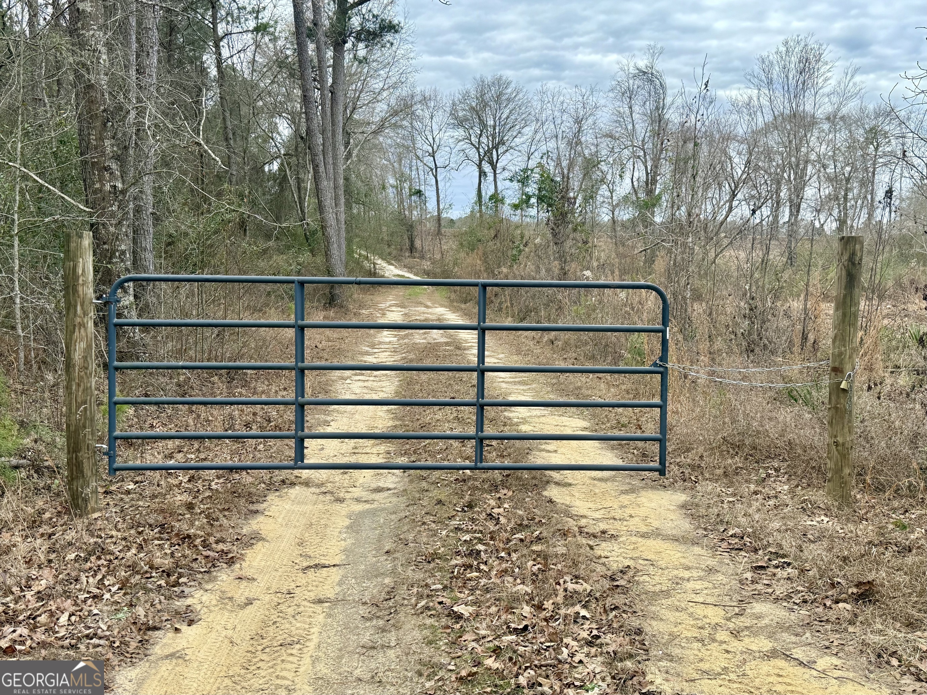 0 Davis Road Dexter, GA 31022 - Photo 2 of 17